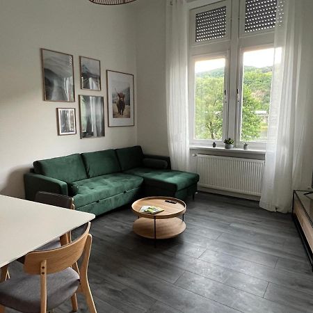 Apartamento Direkter Moselblick I Altbau I 4 Personen I Terrasse Sankt Aldegund Exterior foto